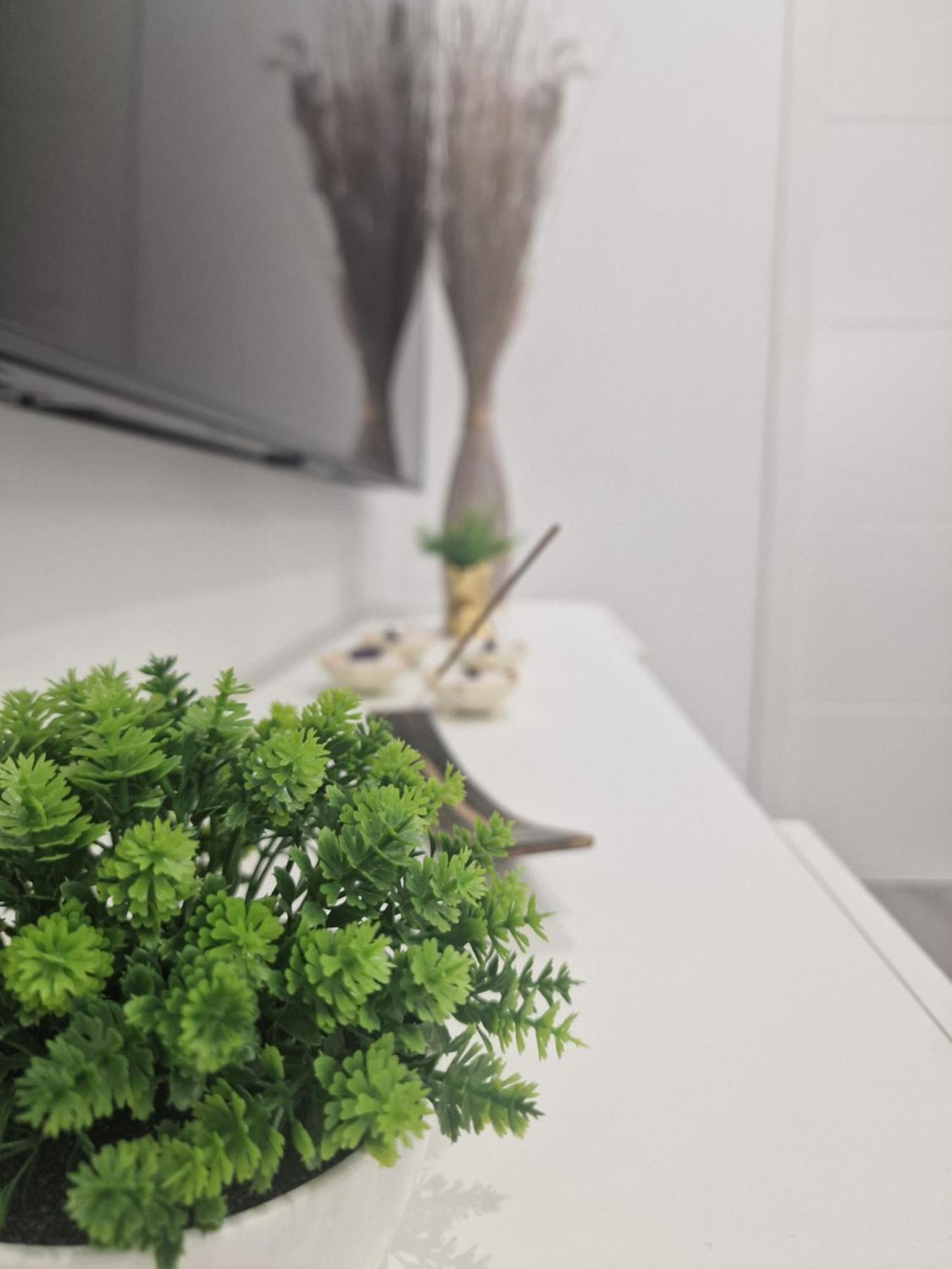 Barcelona, Apartamento De 1 Habitacion Apartment L'Hospitalet de Llobregat Bagian luar foto